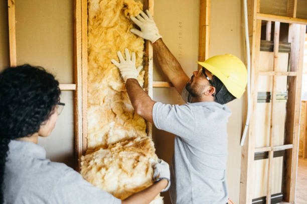 Best Spray Foam Insulation  in Timberlake, VA